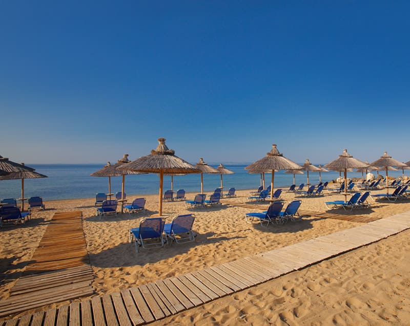Strand von Blue Dolphin Hotel **** auf Chalkidiki in Griechenland